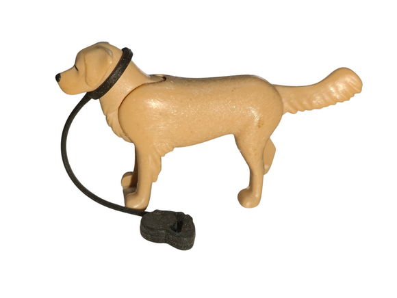 Playmobil 30 66 5984 beige Golden Retriever Dog, Standing, and with 30 88 0662 black leash